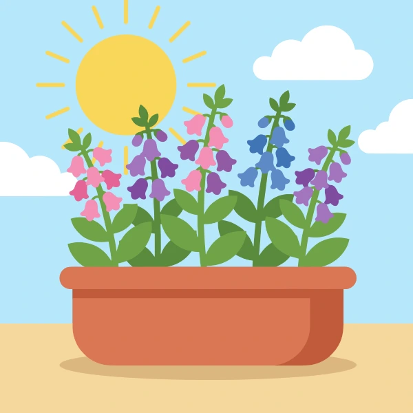Pink purple and blue bell-shaped flowers on tall spikes growing in a wide terracotta window planter under a bright sunny sky
