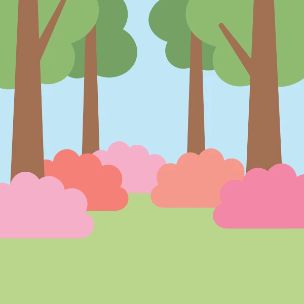 Pink and coral azalea bushes blooming under tall brown trees with green canopy and light blue sky