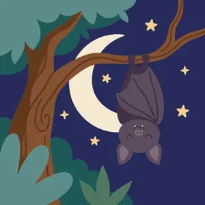 Bat Hanging from Branch at Night