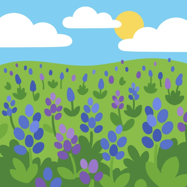 Blue and purple bluebonnet flowers filling rolling green hills under a bright sunny sky with white clouds
