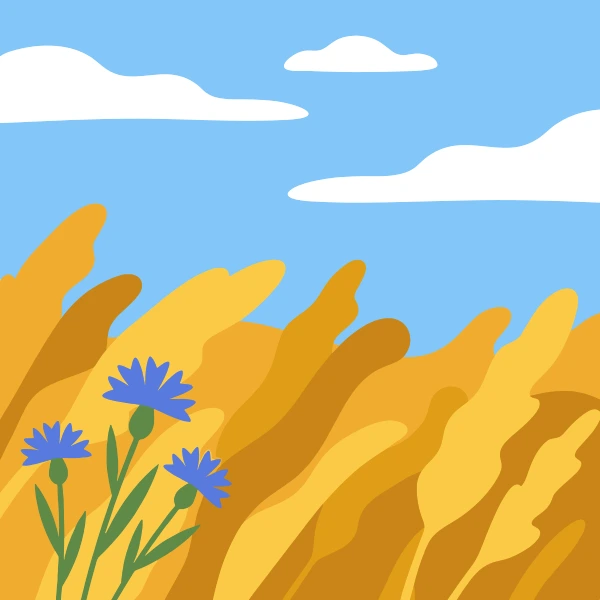 Three vivid blue cornflowers with green stems growing among swaying golden wheat stalks under a blue sky with white clouds