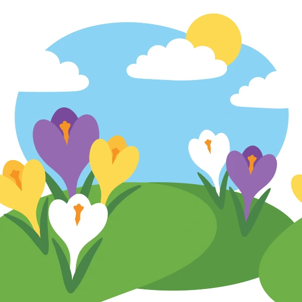 Purple yellow and white crocus flowers blooming on rolling green lawn hills under a bright yellow sun and blue sky with clouds