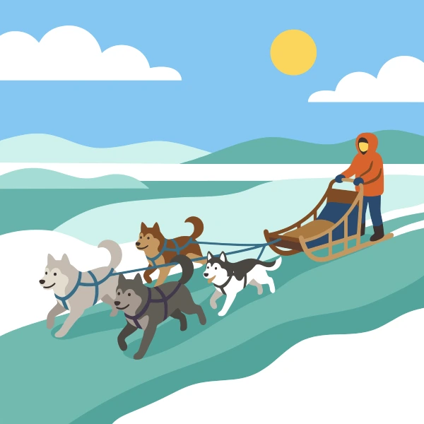 Powder blue, gray, and teal dog sled surrounded by white snow, blue shadows, pine trees, and cold mountains.