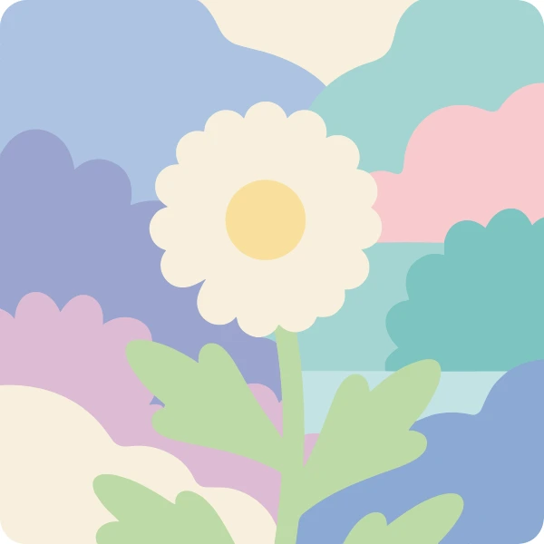 Single large white flannel flower with a pale yellow center and lobed leaves in a dreamy soft pastel garden of lilac and teal