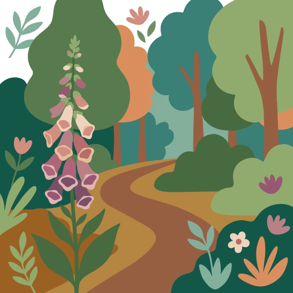 Tall pink and cream foxglove spike beside a winding dirt trail through green trees