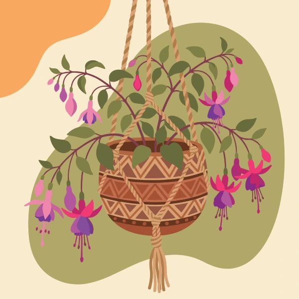 Hot pink and purple fuchsia flowers dangling from a patterned terracotta basket on a rope hanger