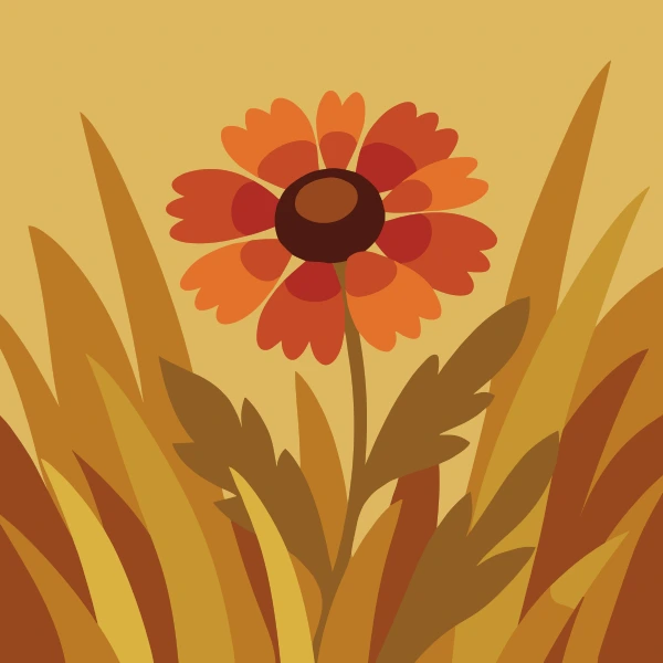 Single orange and red gaillardia flower with dark brown center rising above golden dry grass blades