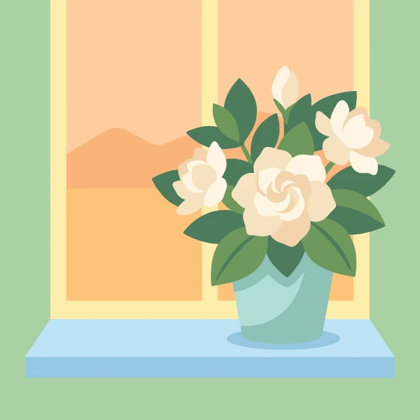 Creamy white gardenia blooms in a pale blue pot on a windowsill with warm orange sunset outside