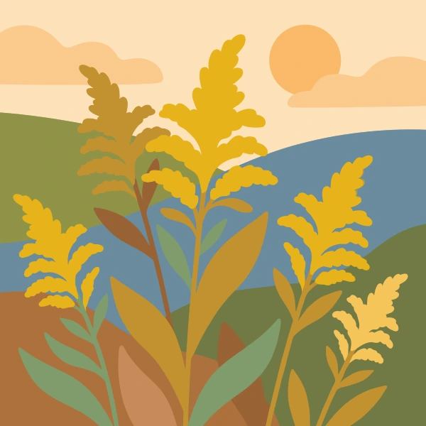 Tall golden-yellow goldenrod plume stems against rolling green and teal hills under a peach sunset sky