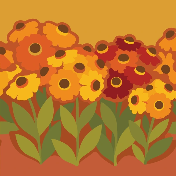 Dense row of orange yellow and dark red helenium daisy flowers with brown centers on green stems