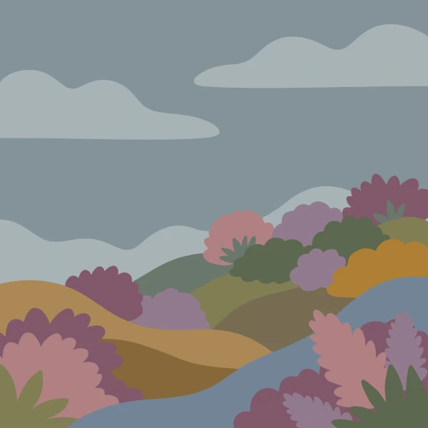 Rolling misty hills covered in mounds of pink burgundy purple and golden heather shrubs under a grey overcast sky with low clouds