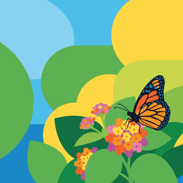 A monarch butterfly with orange and black wings resting on clusters of orange, pink, and yellow lantana flowers surrounded by large round leaves