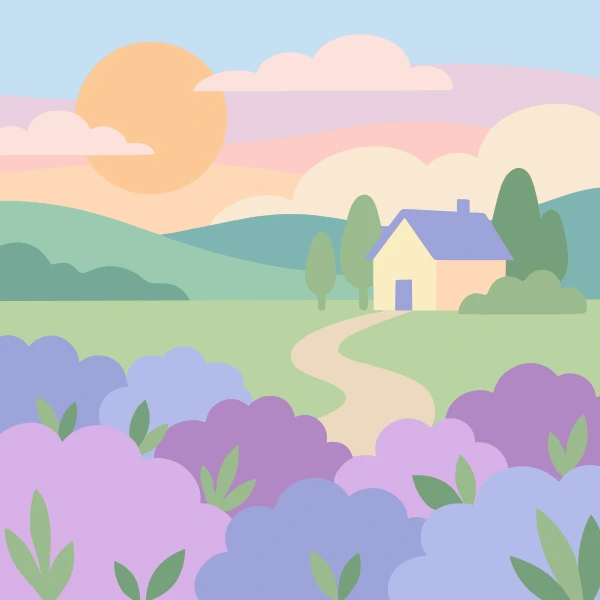 Rows of purple and lilac lavender bushes filling a field leading to a small farmhouse at warm golden sunrise with pink clouds