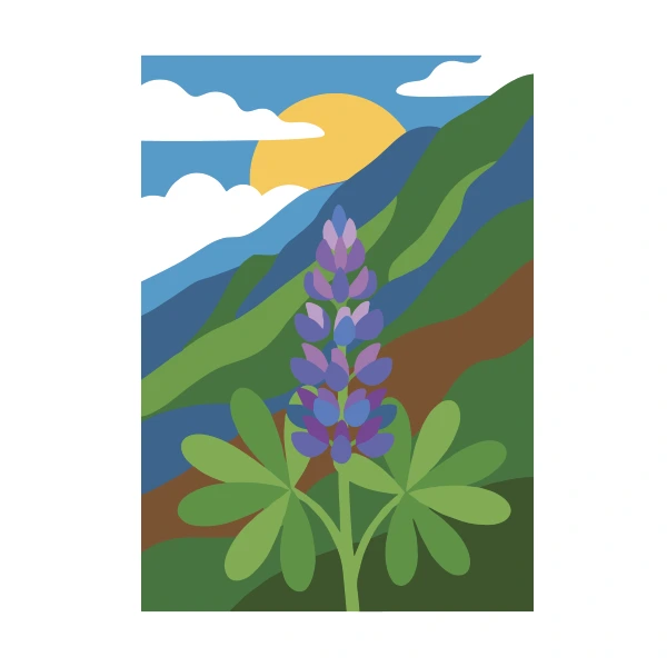 A tall purple and blue lupine flower spike with large green leaves growing on a sunny mountain slope with layered green hills and a golden sun