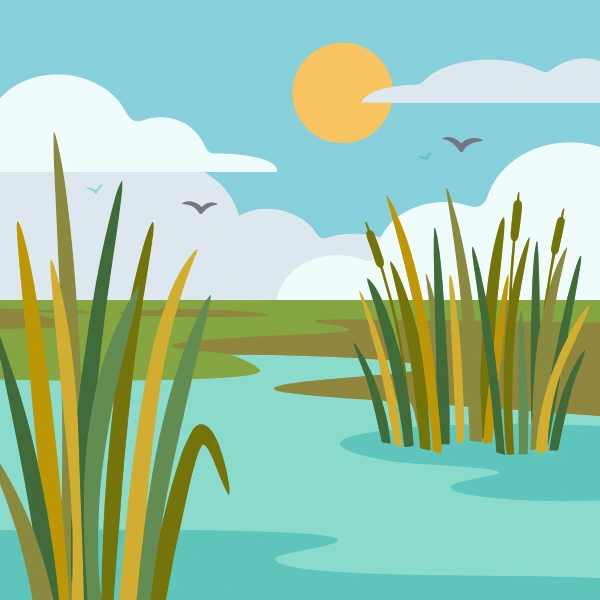 Peaceful marshland wetland with tall green reeds, calm water, and birds flying under a warm sunset sky