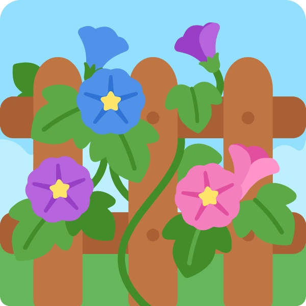 Blue, purple, and pink morning glory flowers with yellow star centres twining around a brown wooden picket fence under a clear blue sky