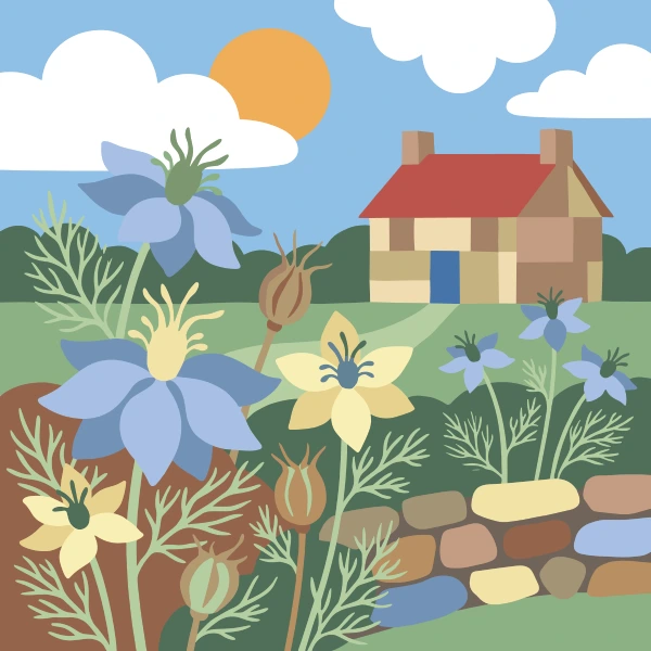 Large blue and yellow nigella flowers with fine feathery stems and rounded seed pods growing in front of a stone cottage with a red roof