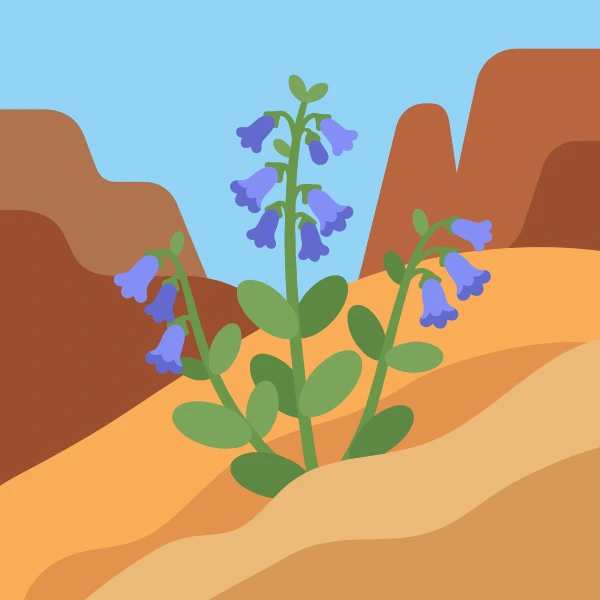 Blue-purple bell-shaped penstemon flowers on tall green stems growing from sandy desert soil between red and brown canyon walls