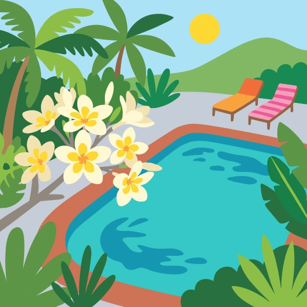 White and golden-yellow plumeria flowers on a branch overhanging a bright turquoise pool with two striped loungers and tall palm trees