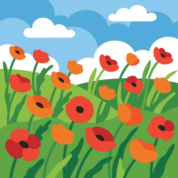 Red and orange poppy flowers with dark centers scattered across rolling green hills under a blue sky with large white clouds