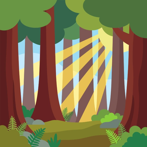 Redwood Forest with Sunbeams free printable jigsaw puzzle & coloring page
