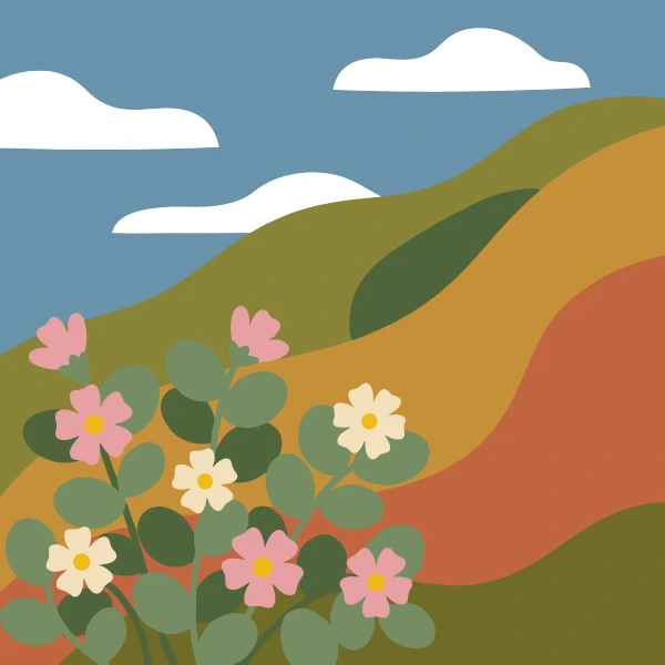 Pink and cream rock rose flowers with yellow centers growing low on a hillside of layered olive, ochre, and rust slopes under a pale blue sky