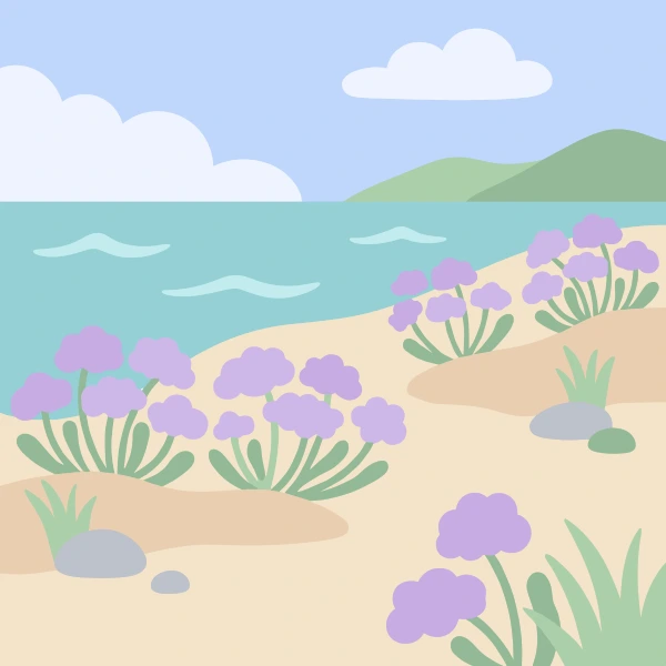 Rounded clusters of soft purple sea lavender flowers with grey-green foliage growing on a sandy beach with turquoise sea and distant green hills