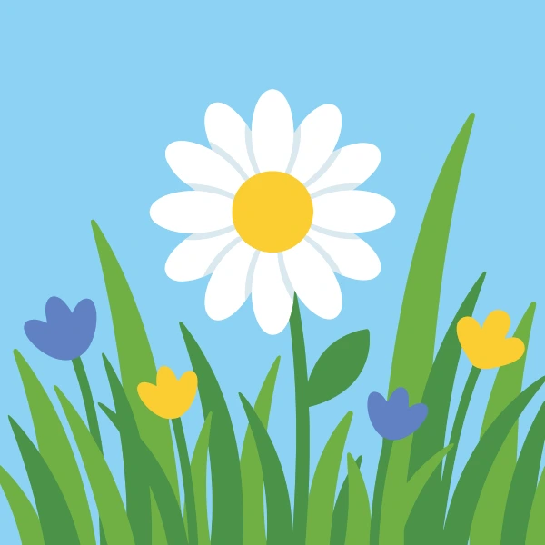 Large white Shasta daisy with a bright golden yellow center growing among green grass blades with small purple and yellow wildflowers nearby