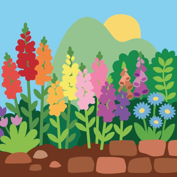 Rainbow row of tall red, orange, yellow, pink, lavender, and purple snapdragons behind a low stone wall with foxgloves and blue daisies in a cottage garden