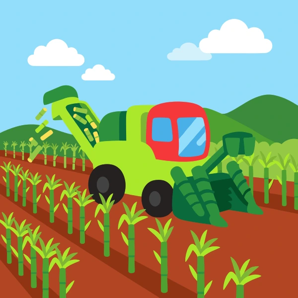Grass green, black, and forest green sugarcane harvester in fields with barns, crop rows, hay bales, or farm animals under a bright sky.