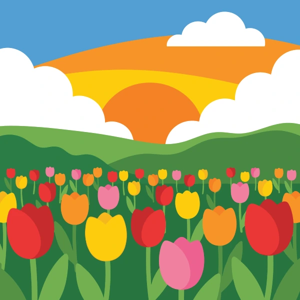 Dense field of red, yellow, orange, and pink tulips in rows under a vivid orange and yellow sunrise sky with white clouds and green hills