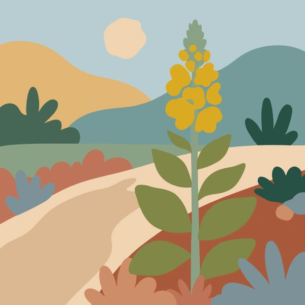 Tall yellow verbascum flower spike with broad green leaves beside a winding sandy path, surrounded by muted terracotta and teal shrubs under a soft sky