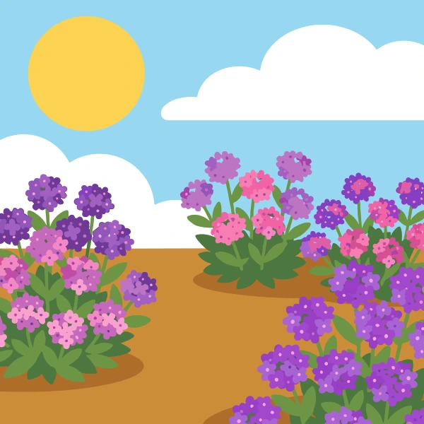 Clusters of deep purple, violet, and hot pink verbena flowers in a sunny garden bed with green leaves, bright sun, and blue sky with white clouds