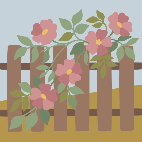 Pink wild rose flowers with yellow centers and green leaves climbing and draping across the slats and rails of a rustic wooden fence